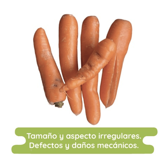 Imagen de Zanahoria económica para picar o hervir