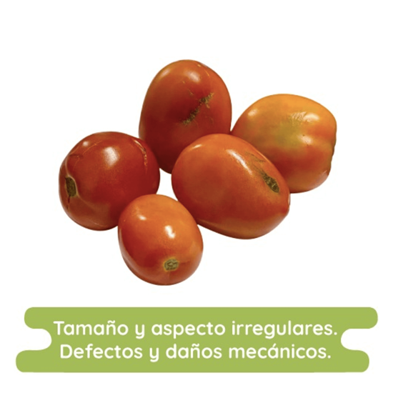 Imagen de Jitomate Saladet económico