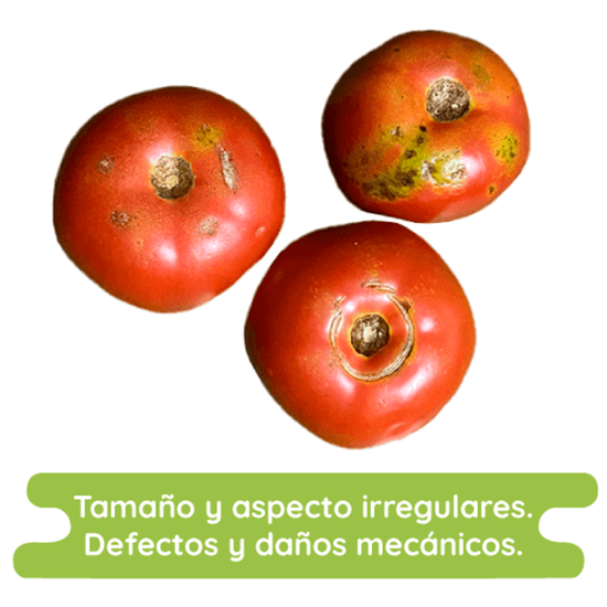Imagen de Jitomate bola económico