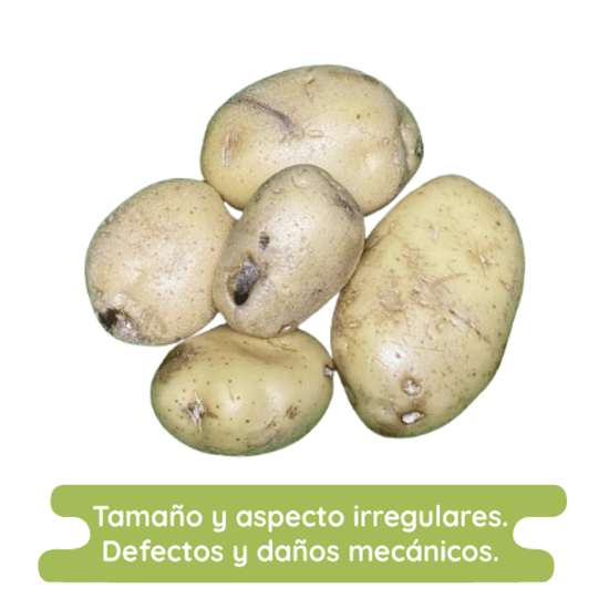 Imagen de Papa blanca Alfa económica