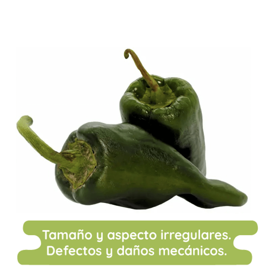 Imagen de Chile poblano económico para rajas