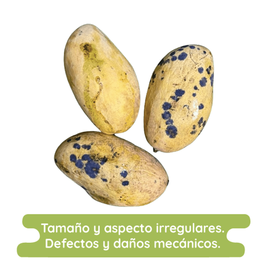 Imagen de Mango Manila económico