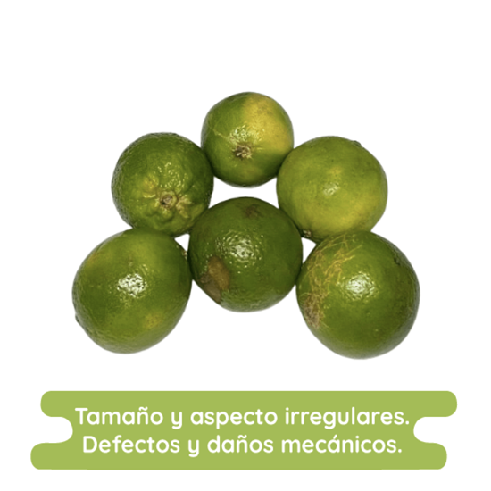 Imagen de Limón sin semilla (persa) económico