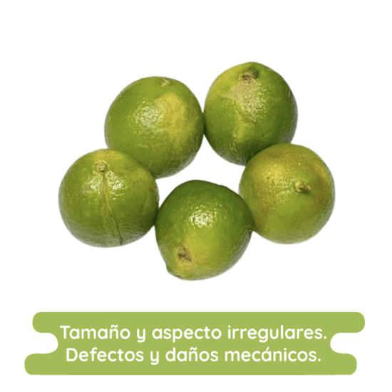 Imagen de Limón agrio con semilla económico