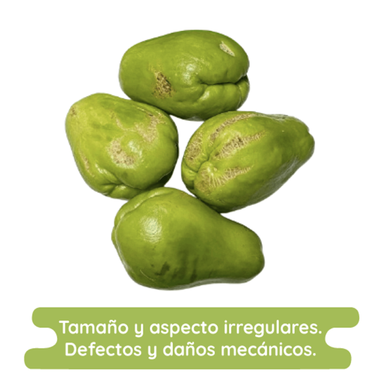 Imagen de Chayote sin espinas económico