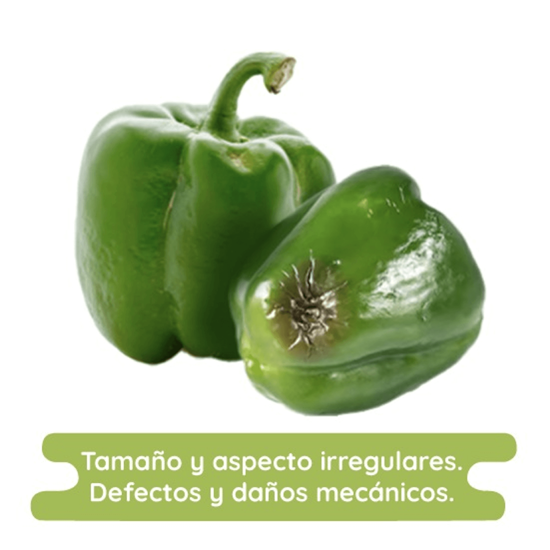 Imagen de Pimiento morrón verde económico