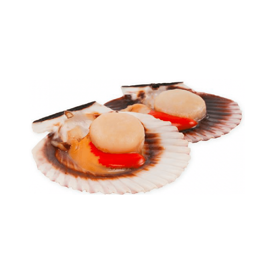 Imagen de Almeja vieira chilena congelada