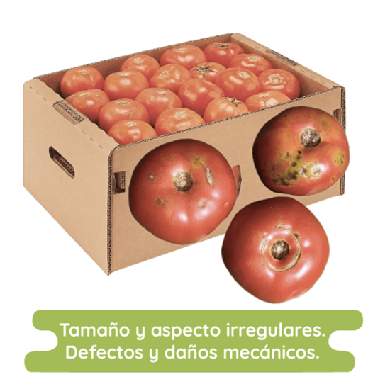 Imagen de Jitomate bola económico por caja (10kg aprox.)