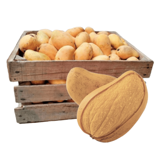 Imagen de Mango Ataúlfo premium extra grande por caja (25kg aprox.)