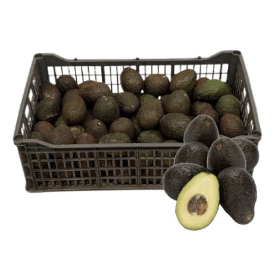 Imagen de Aguacate Hass mini "canica" por caja (9.5kg aprox.)