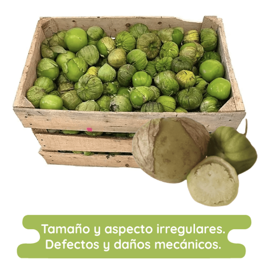 Imagen de Tomate verde económico con cáscara para moler (para salsa) por caja (25kg aprox.)