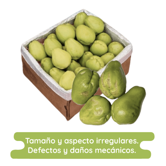 Imagen de Chayote sin espinas económico por caja (20kg aprox.)
