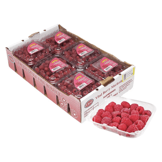 Imagen de Frambuesa caja con 12 domos de 170g c/u