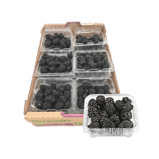 Imagen de Zarzamora caja con 12 domos de 170g c/u