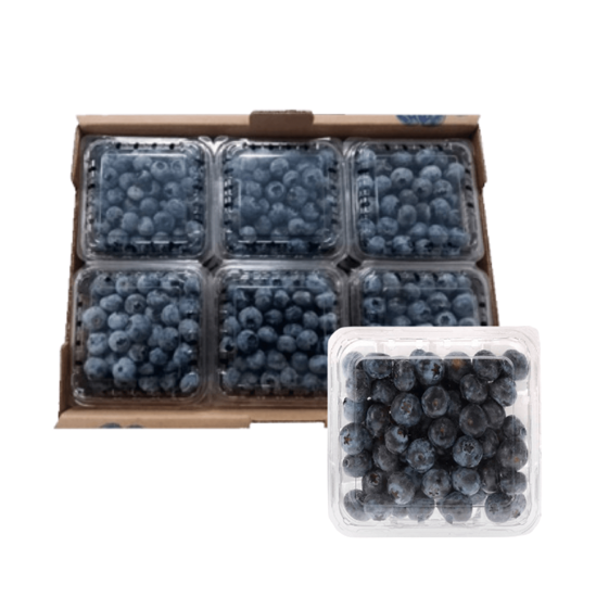 Imagen de Mora azul (blueberry) caja con 12 domos de 170g c/u