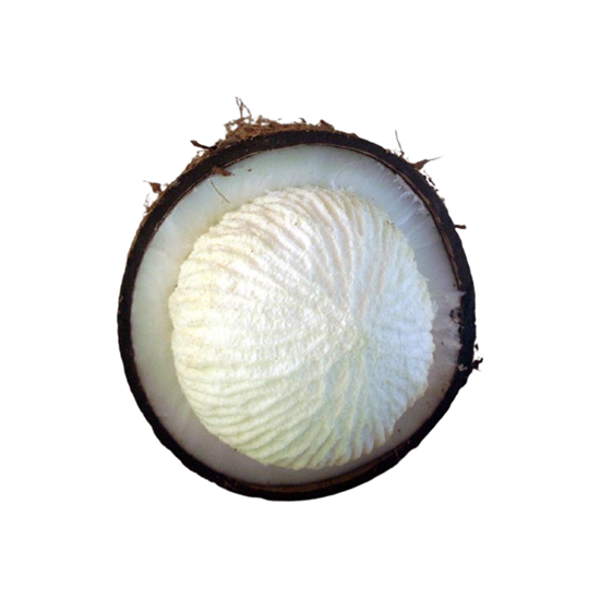 Imagen de Manzana (esponja) de coco 250g aprox.