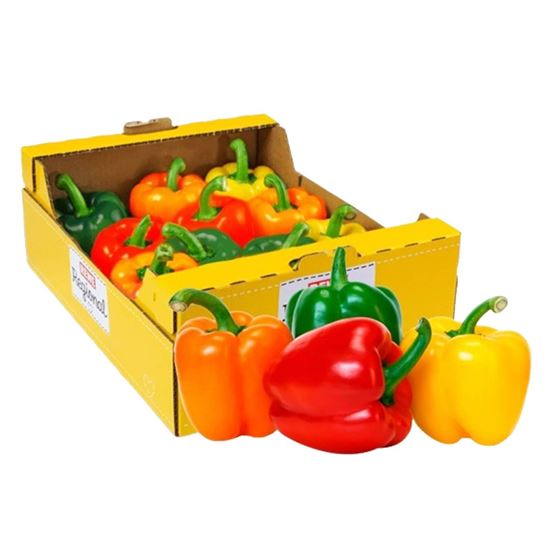 Imagen de Pimiento morrón colores surtidos de primera por caja (10kg aprox.)