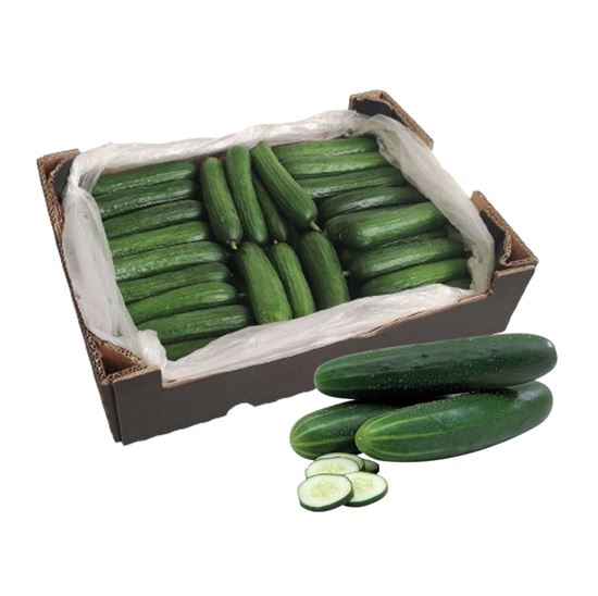 Imagen de Pepino premium de invernadero por caja (20kg aprox.)
