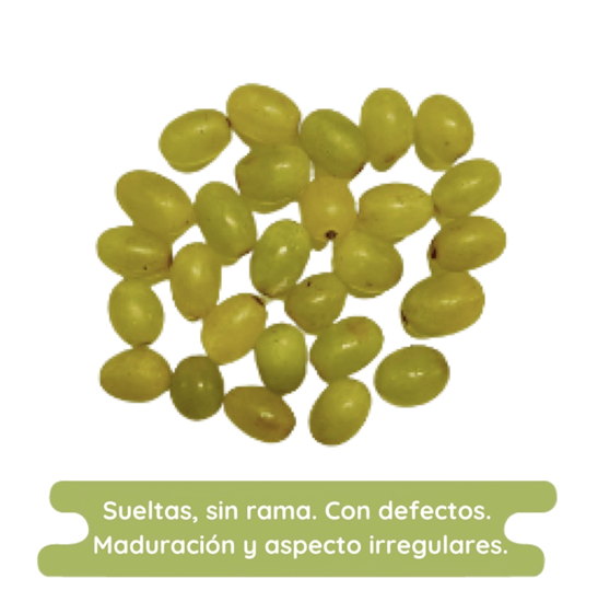 Imagen de Uva verde económica desgranada