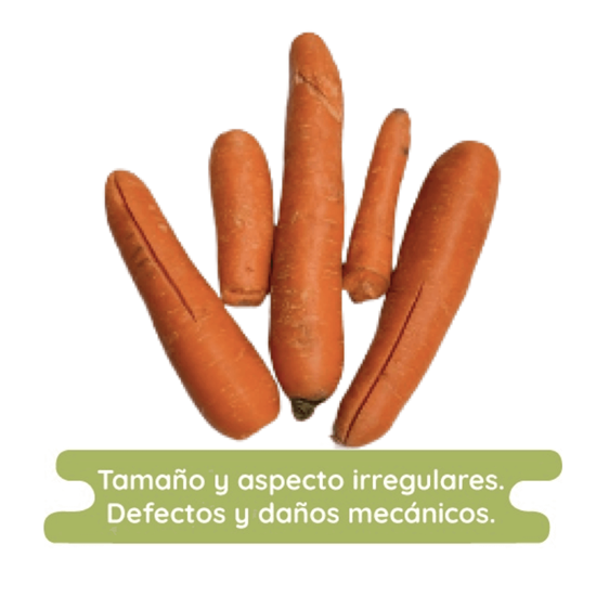 Imagen de Zanahoria quebrada económica