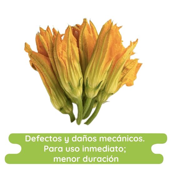 Imagen de Flor de calabaza económica suelta (sin tallo)