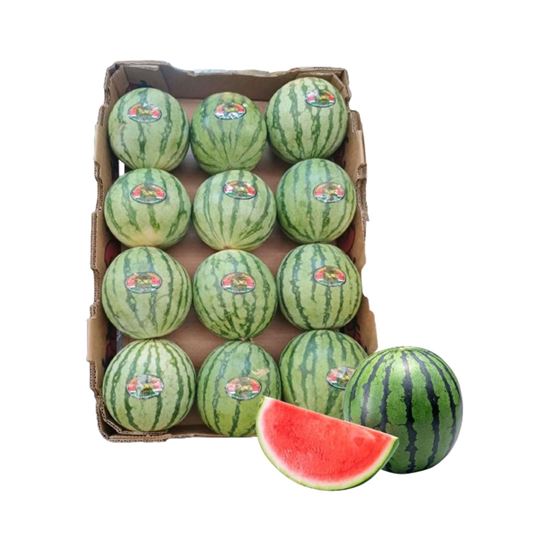 Imagen de Docena de sandía baby sin semilla por caja (12kg aprox.)