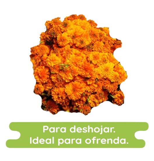Imagen de Flor de cempasúchil económica en rollo extra grande
