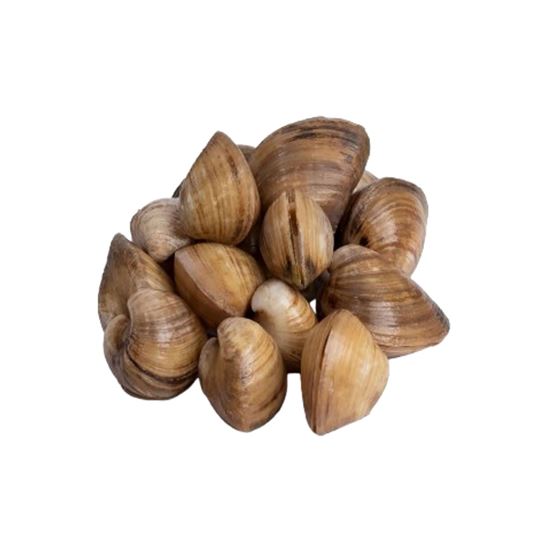 Imagen de Almeja gallo fresca