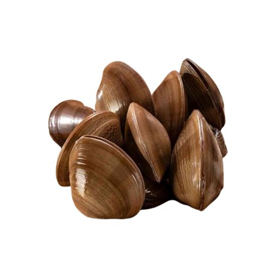 Imagen de Almeja chocolata Ensenada fresca por docena