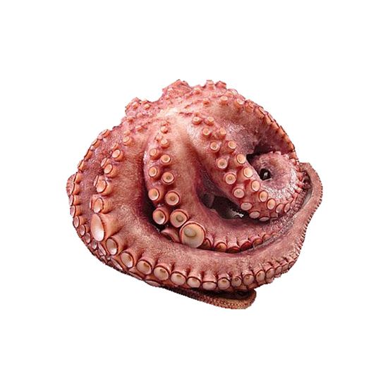 Imagen de Pulpo cocido empacado (400g aprox.)