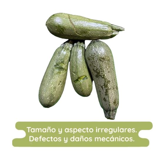 Imagen de Calabaza japonesa (italiana) económica