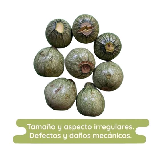 Imagen de Calabaza redonda (criolla) economica