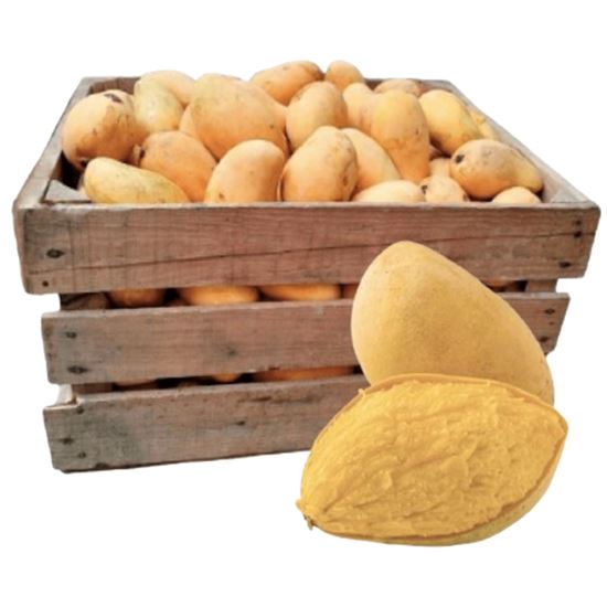 Imagen de Mango Manila premium extra grande por caja (25kg aprox.)