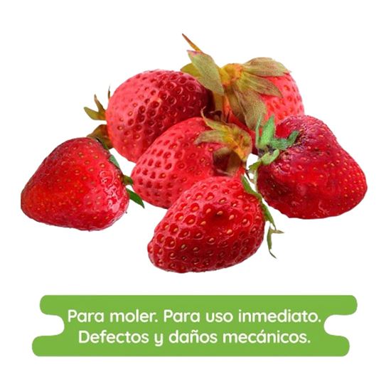 Imagen de Fresa económica para agua y licuado a granel