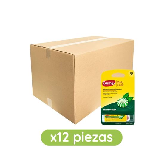 Imagen de Bálsamo labial hidratante sabor Wintergreen (menta) FPS 15 Carmex Daily Care en barra caja con 12 pzas de 4.25g c/u (51g)