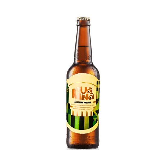 Imagen de Cerveza artesanal mexicana American Pale Ale Iguana 355ml