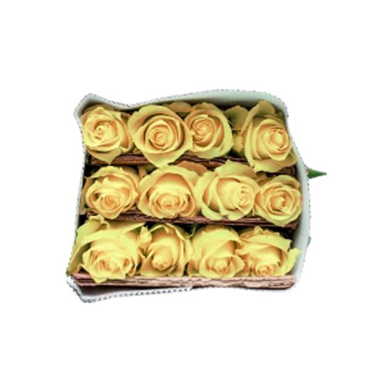 Imagen de Flor de rosa color amarillo por docena