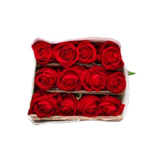 Imagen de Flor de rosa color rojo por docena