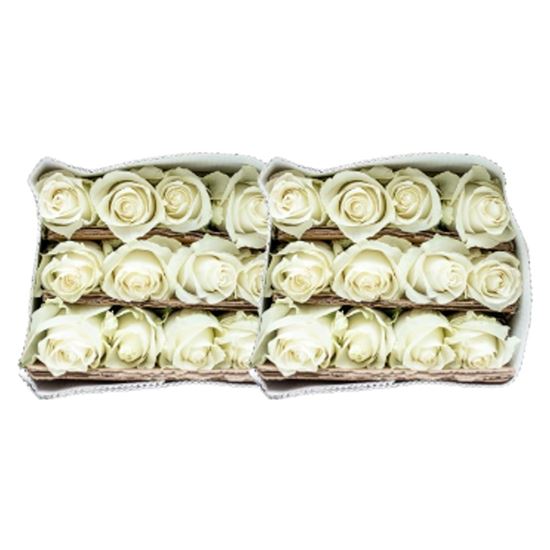 Imagen de Flor de rosa color blanco paquete con dos docenas (24 pzas)