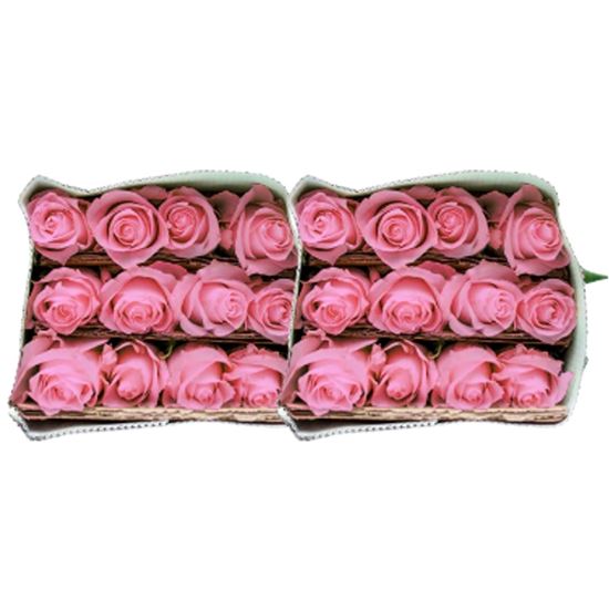 Imagen de Flor de rosa color rosa claro paquete con dos docenas (24 pzas)