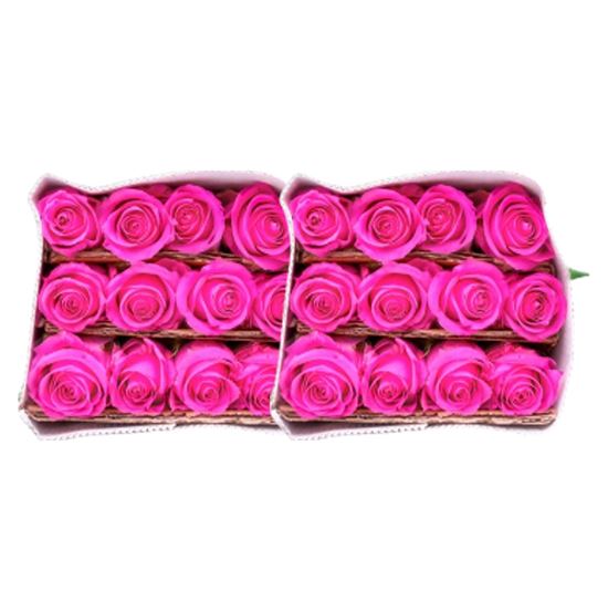 Imagen de Flor de rosa color rosa fucsia paquete con dos docenas (24 pzas)