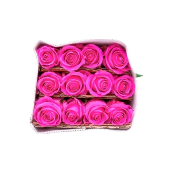 Imagen de Flor de rosa color rosa fucsia por docena