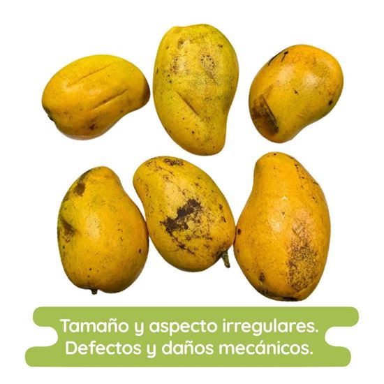 Imagen de Mango Ataúlfo económico