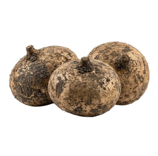Imagen de Jícama grande (1kg aprox.)