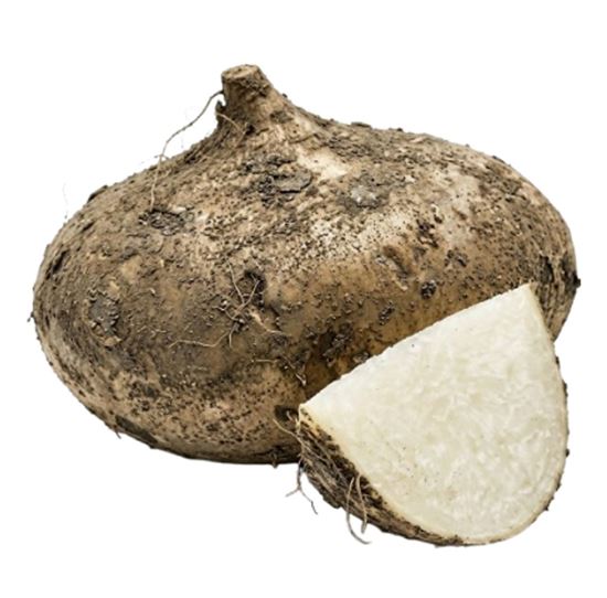Imagen de Jícama jumbo (2.5kg aprox.)