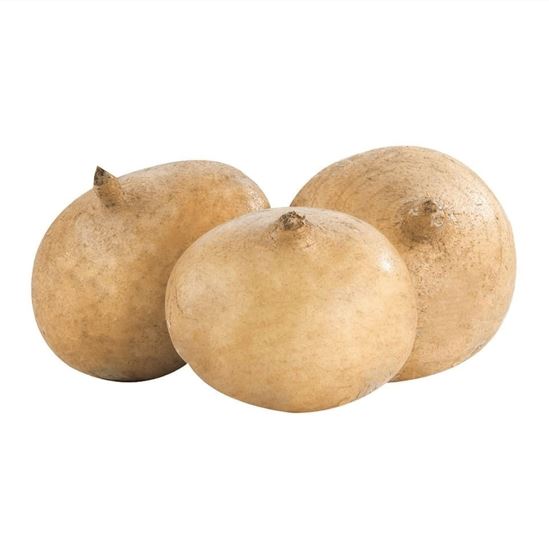 Imagen de Jícama blanca (lavada) grande (1kg aprox.)