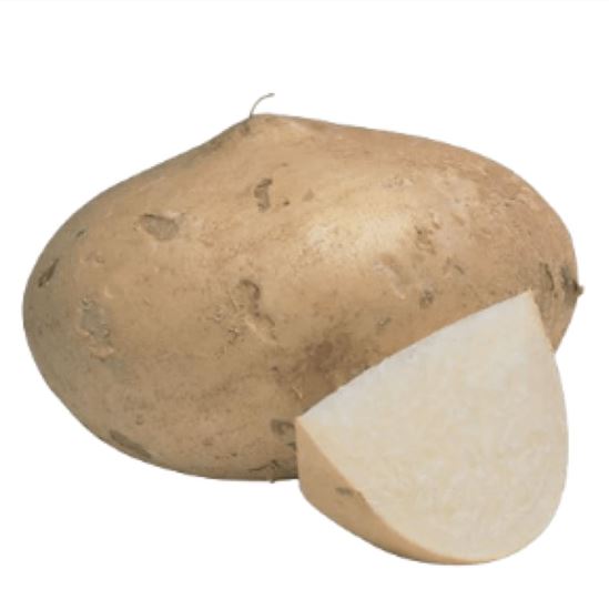 Imagen de Jícama blanca (lavada) jumbo (2.5kg aprox)