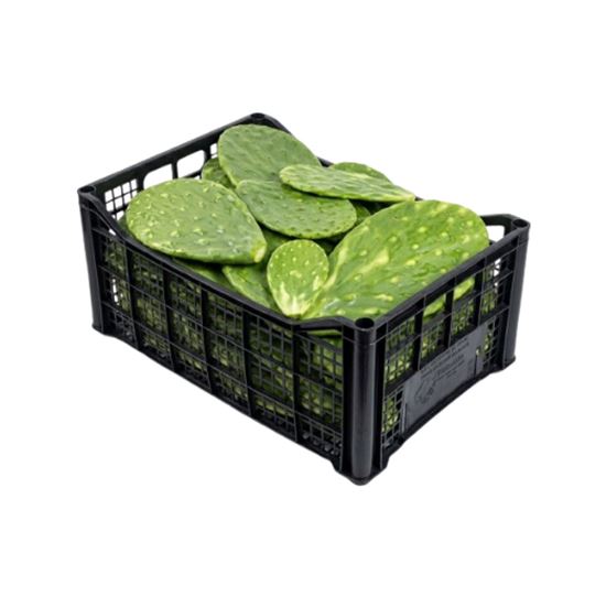 Imagen de Nopal grande (con espinas) caja de 200 pzas aprox.
