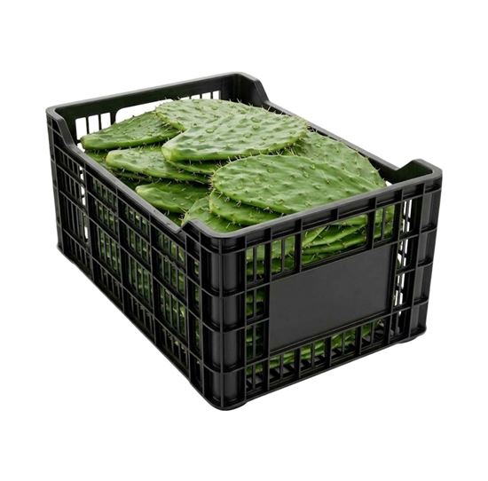 Imagen de Nopal cambray (con espinas) caja de 500 pzas aprox.