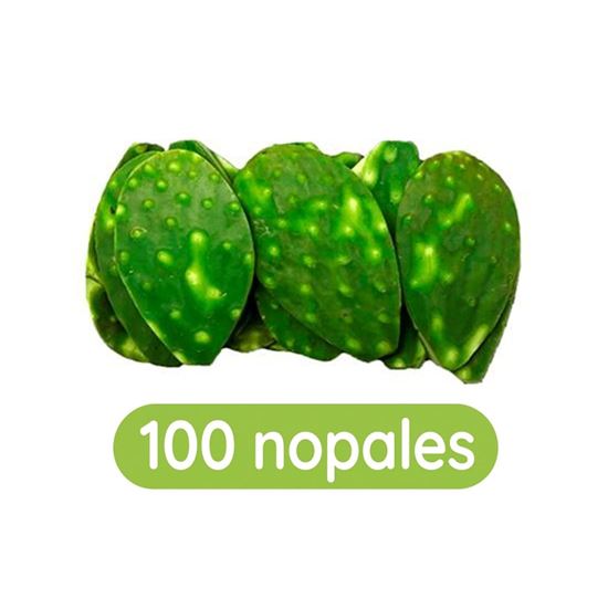 Imagen de Nopal cambray limpio en bolsa con 100 pzas